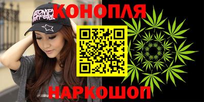 Альфа ПВП Можга